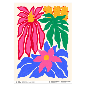 Bromeliads Gift Wrap | Liv 