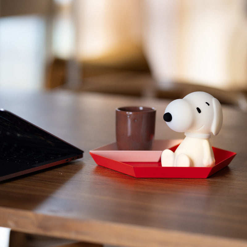 Bundle of Light | Snoopy