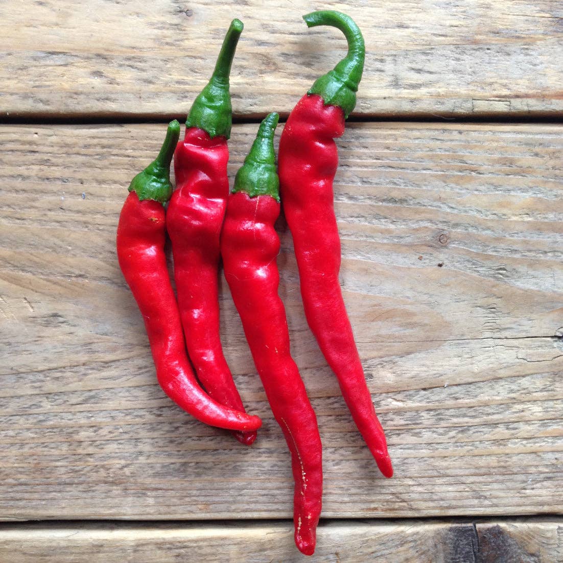 CAYENNE LONG SLIM HOT PEPPER SEEDS