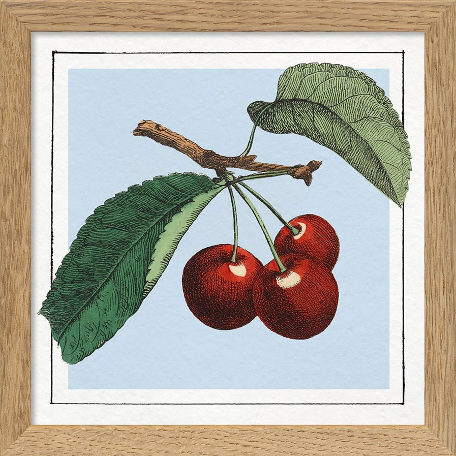 CHERRIES | 15x15cm | OAK FRAME