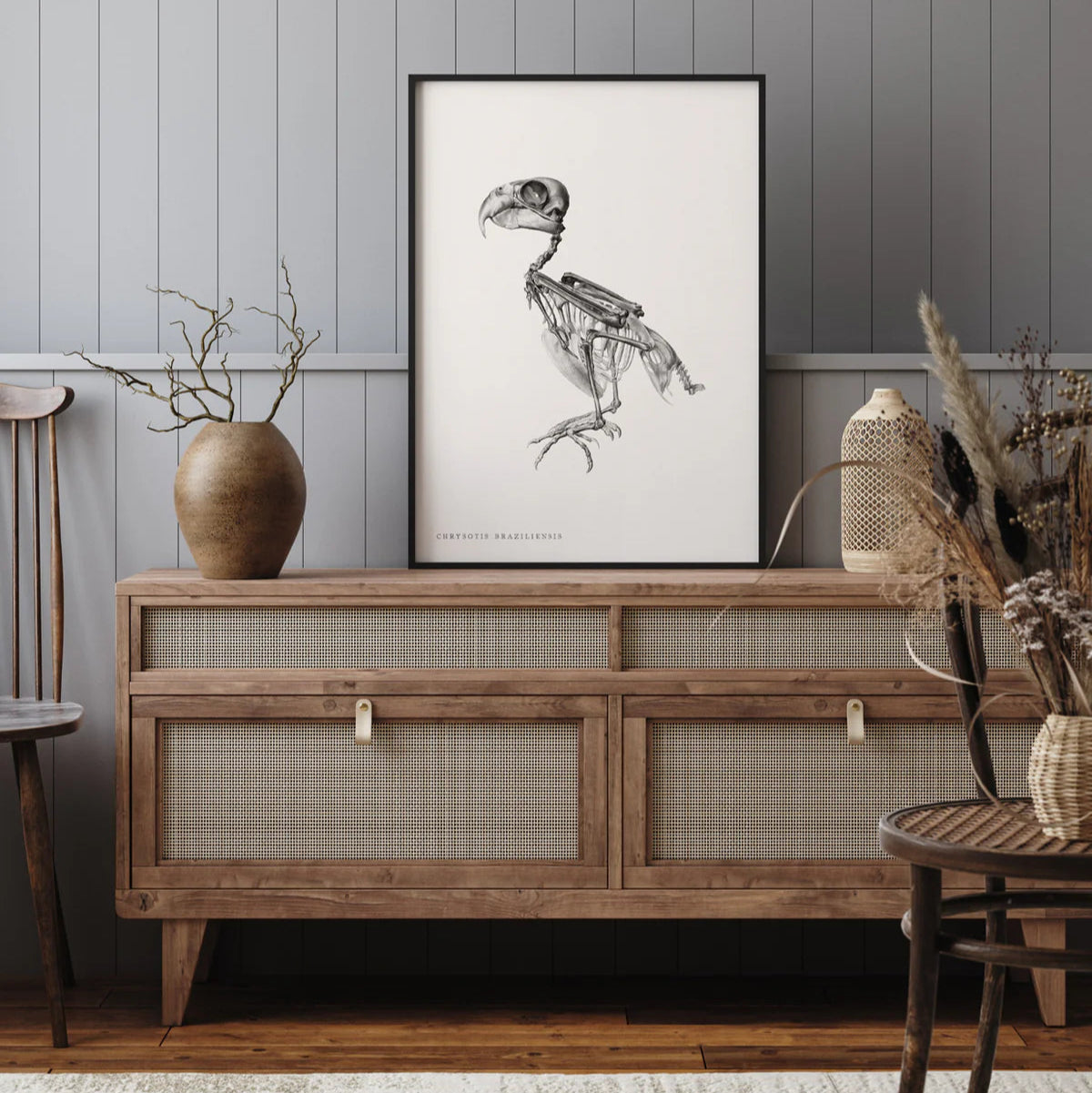 CHRYSOTIS BRAZILIENSIS | 30x40cm | BLACK ALU FRAME
