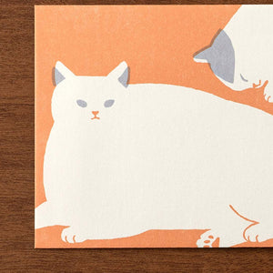 Cat Envelopes