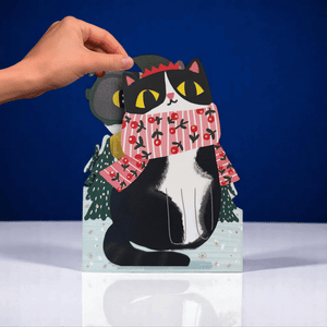 Cat | Jiggling Eyes Birthday Card