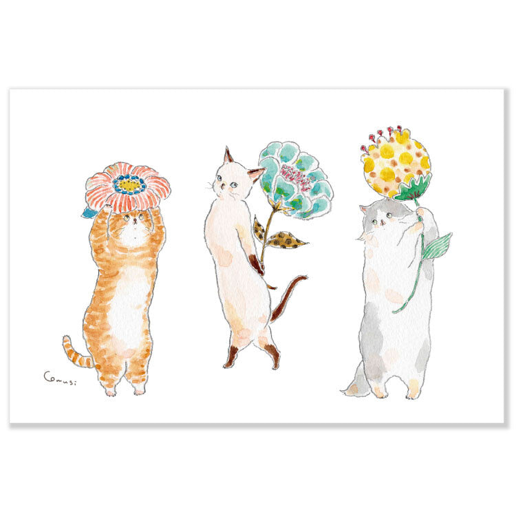 Cats & Flowers Postcard