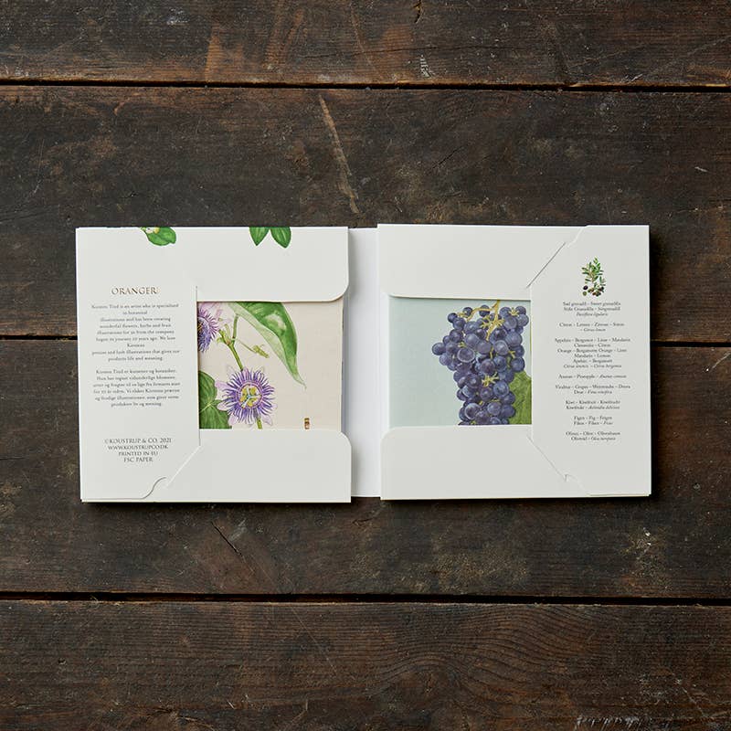 Conservatory 8 Cards & Envelopes Set