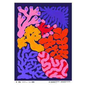 Coral Gift Wrap | Liv