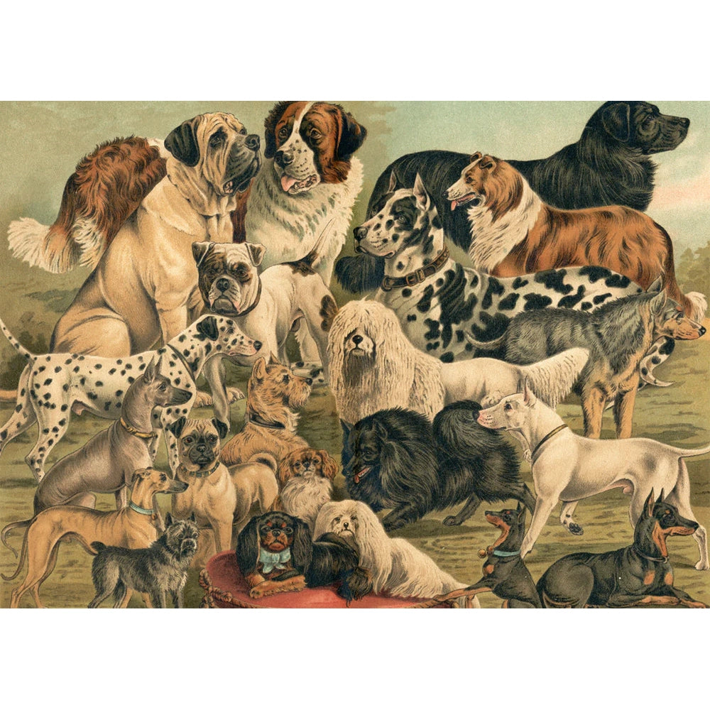 DOGS HORIZONTAL | 30x40cm