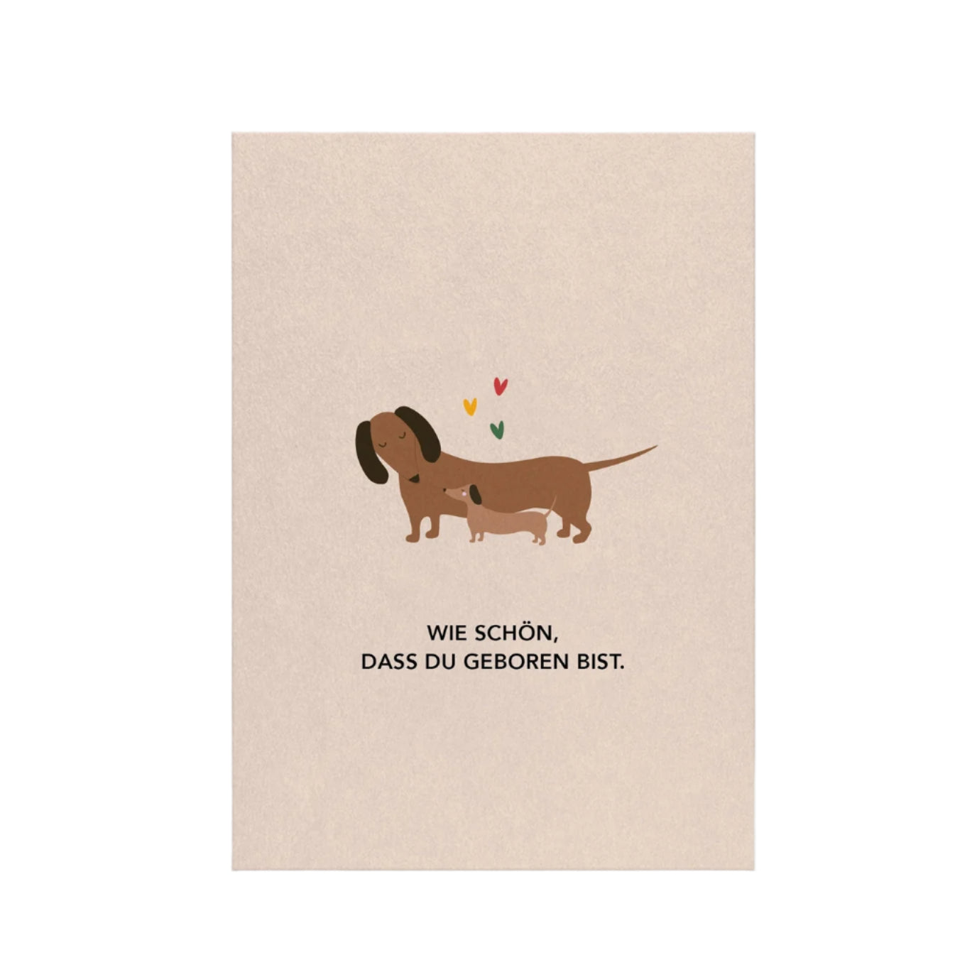 Dachshund For Birth | Postcard