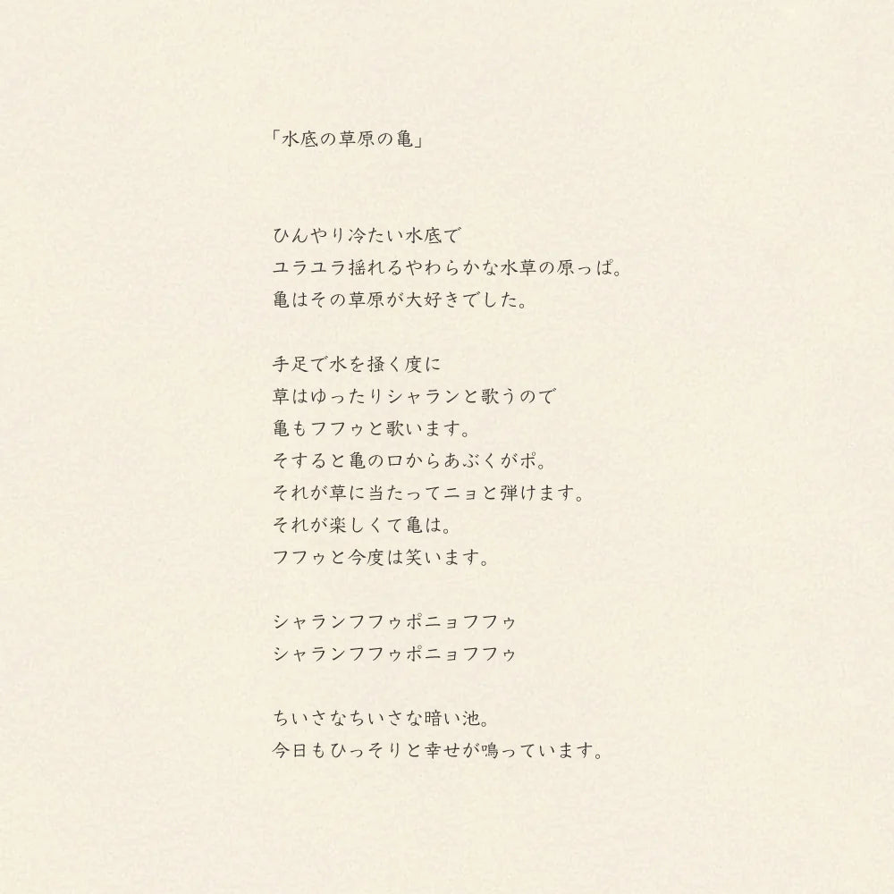 Decorative Tray | Turtle