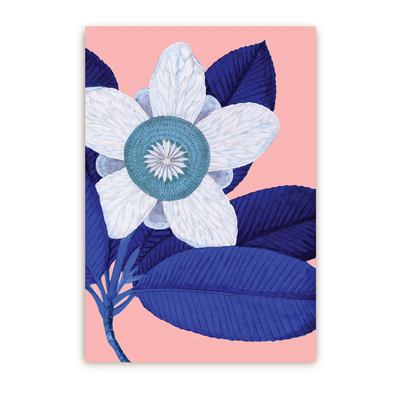 Elephant Apple | Postcard