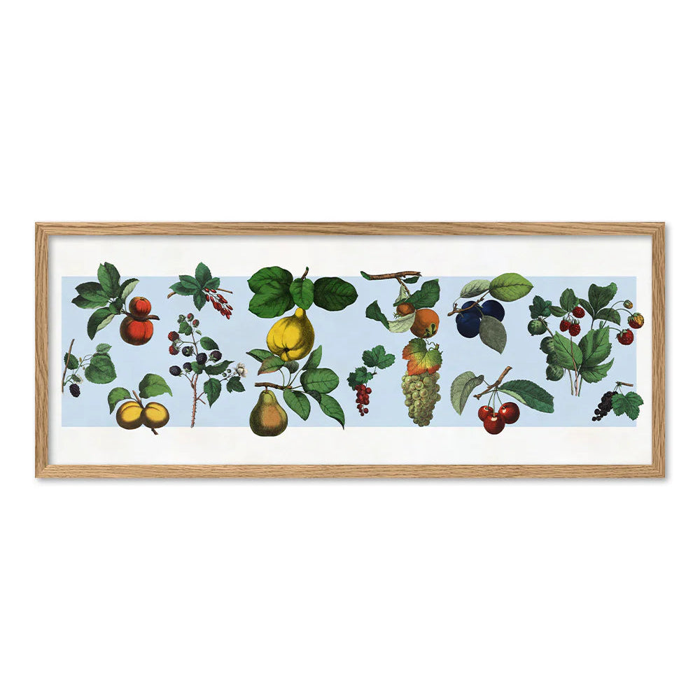 FRUITS | 20x60cm