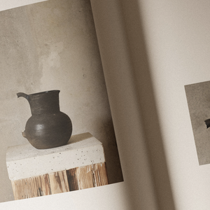 PERCEPTION FORM BOOK