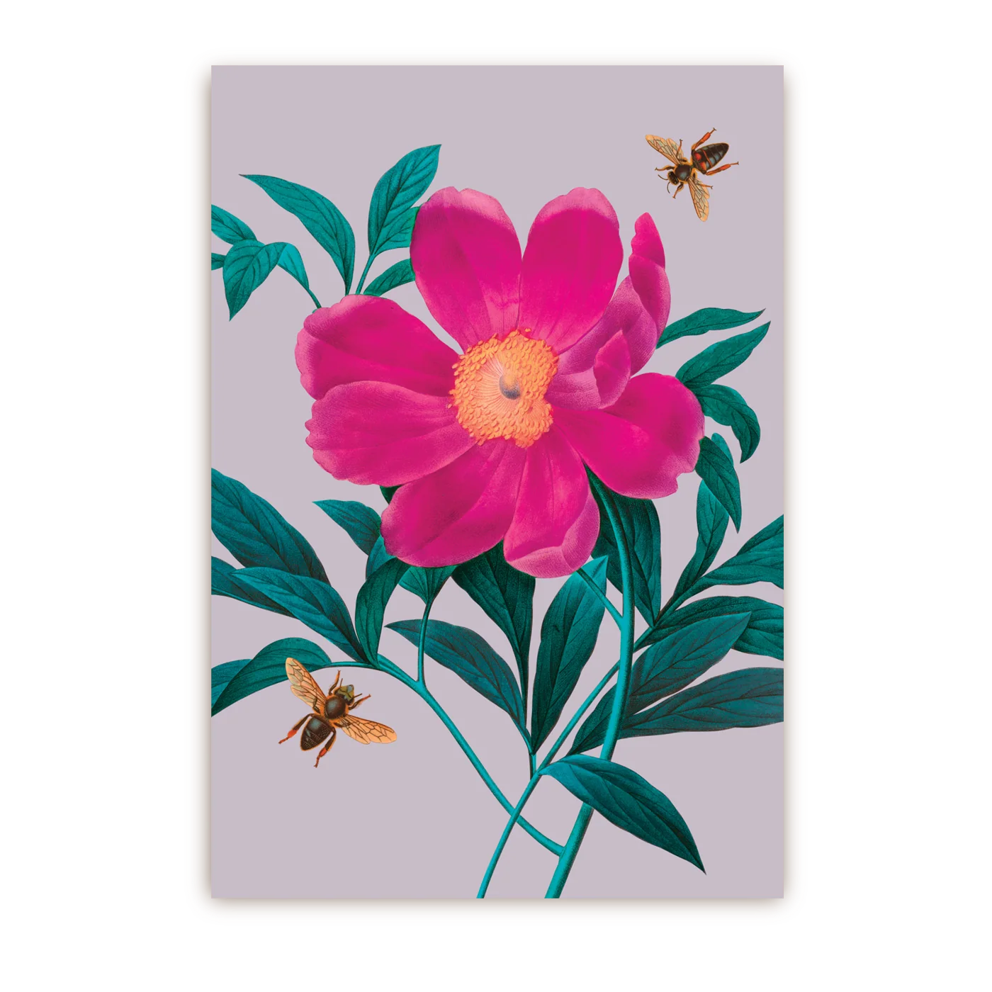 Gentiana Floral | Postcard