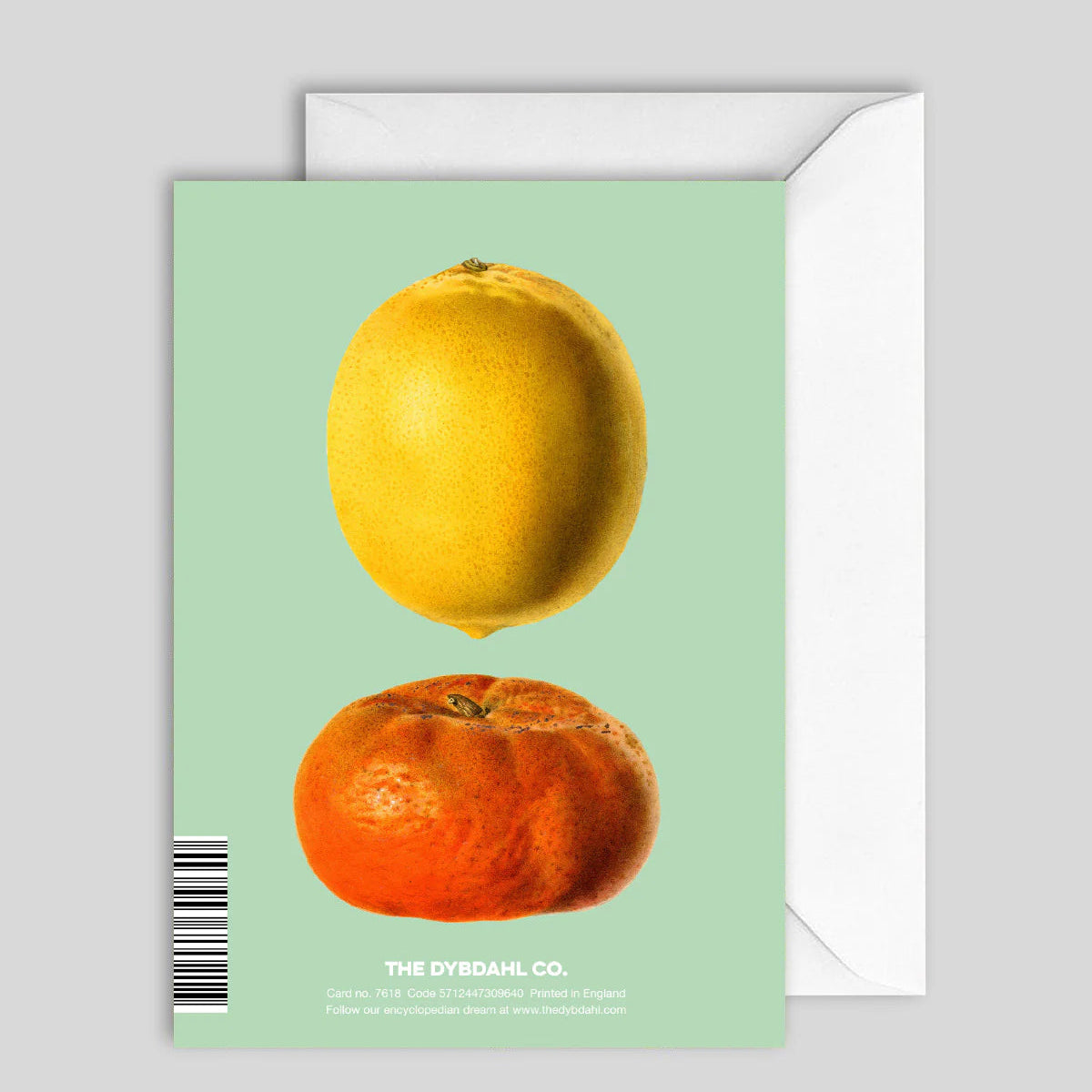 Greeeting Card Citrus