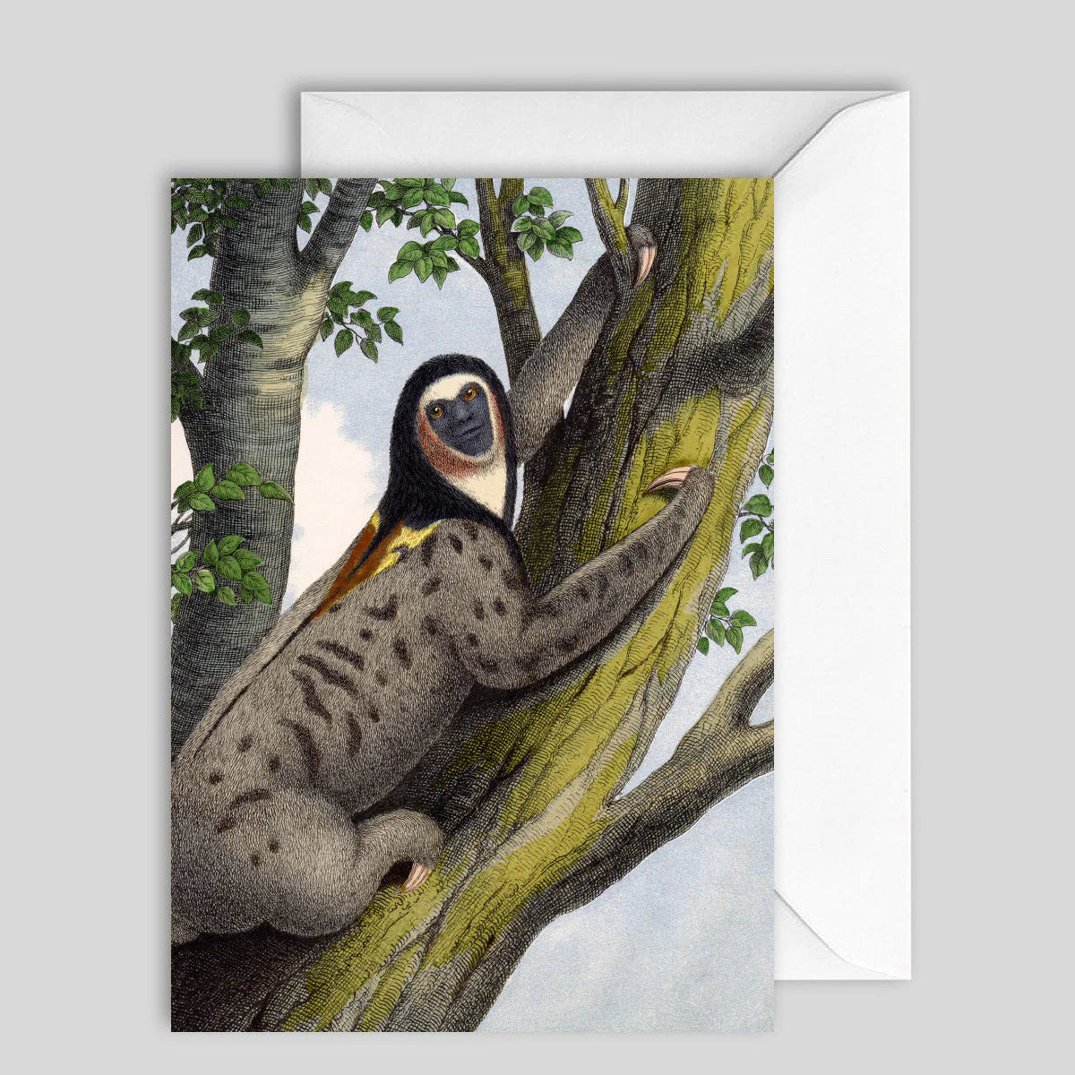 Greeting Card 7606