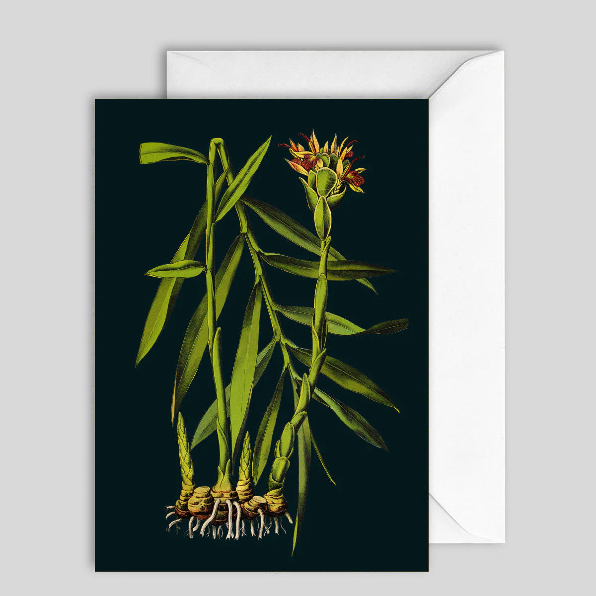 Greeting Card 7614