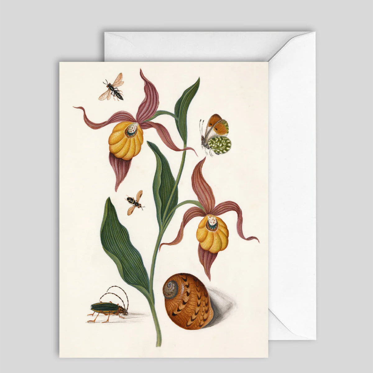 Greeting Card 7659