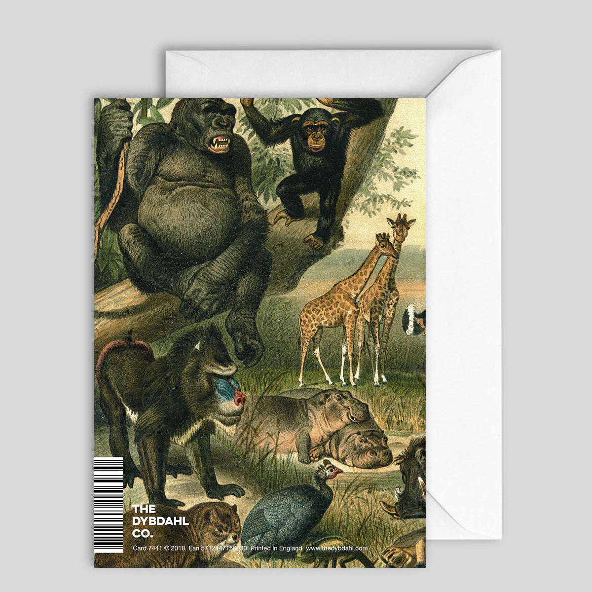 Greeting Card African Fauna