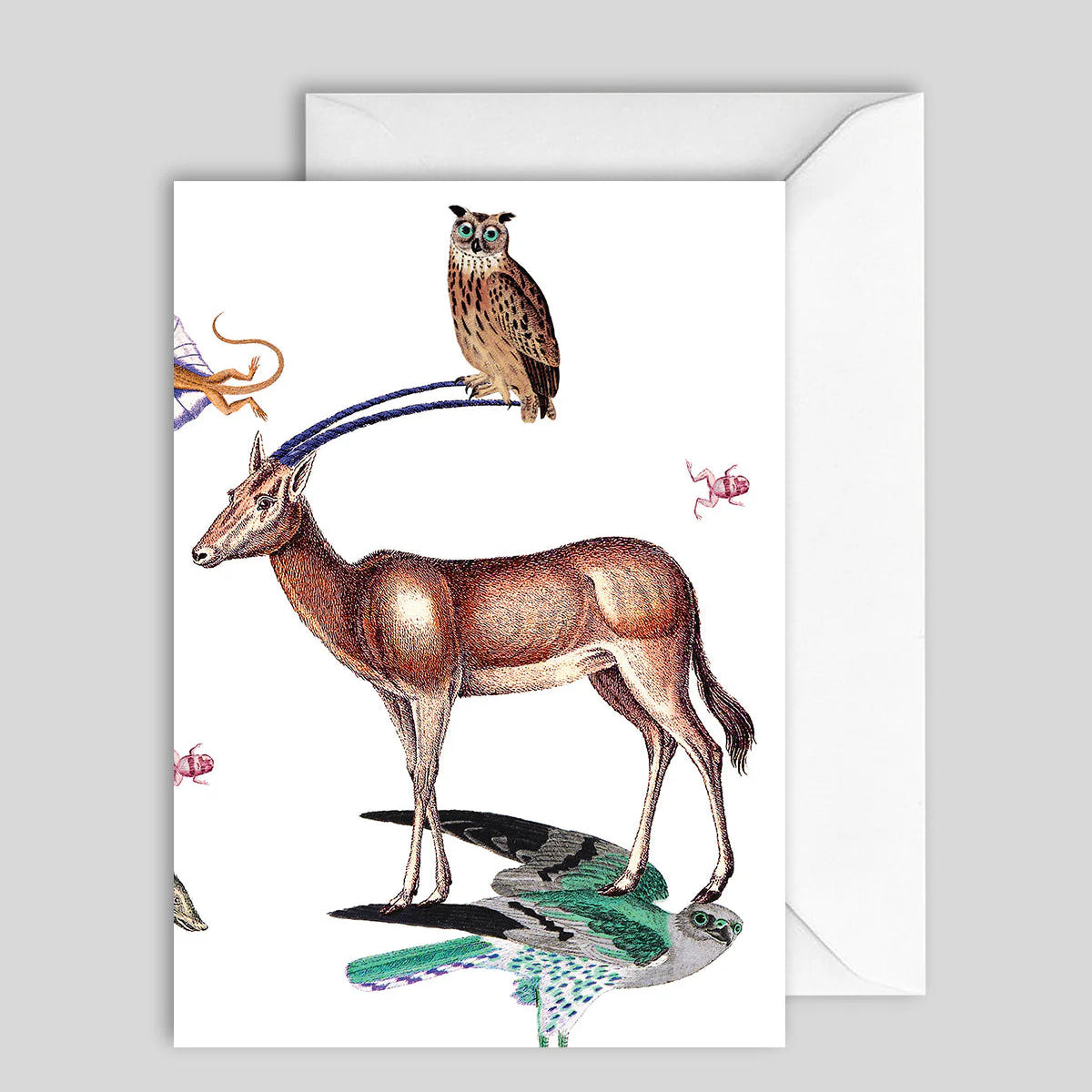 Greeting Card Animal