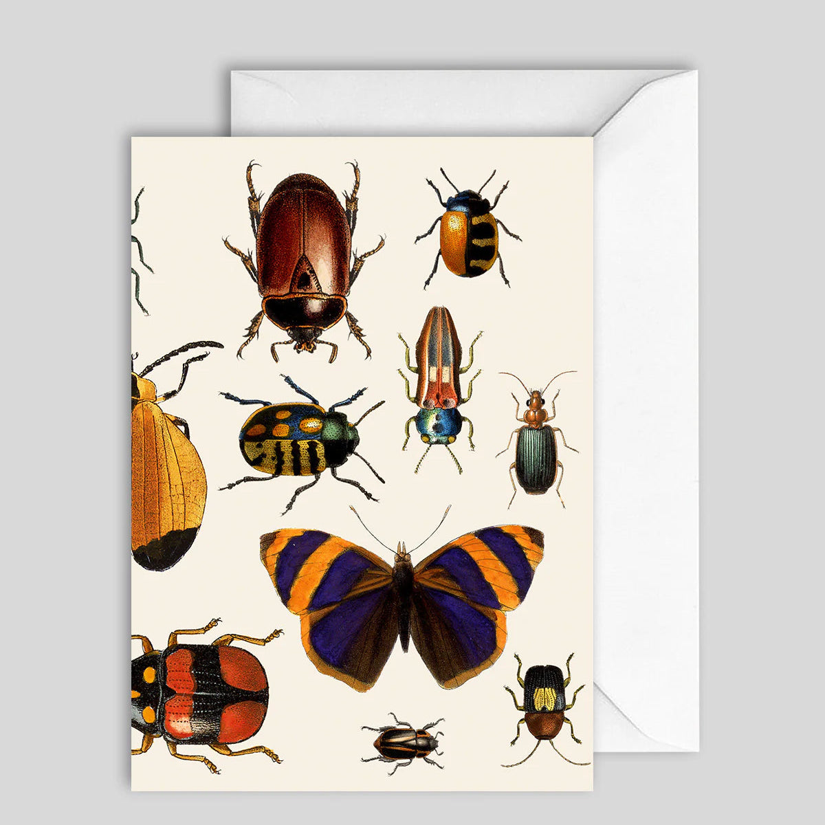 Greeting Card Beatles