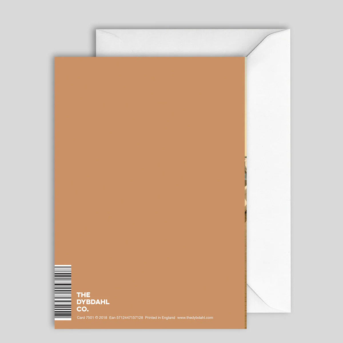 Greeting Card Bon Voyage