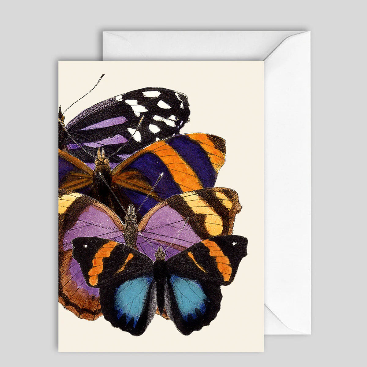 Greeting Card Butterflies
