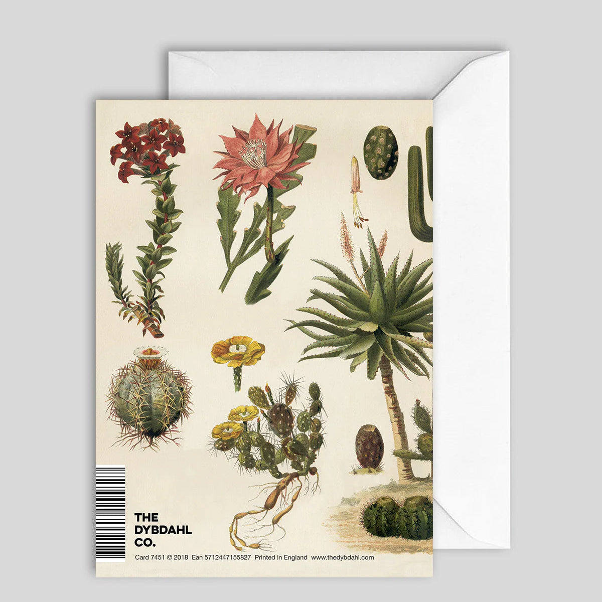 Greeting Card Cacti
