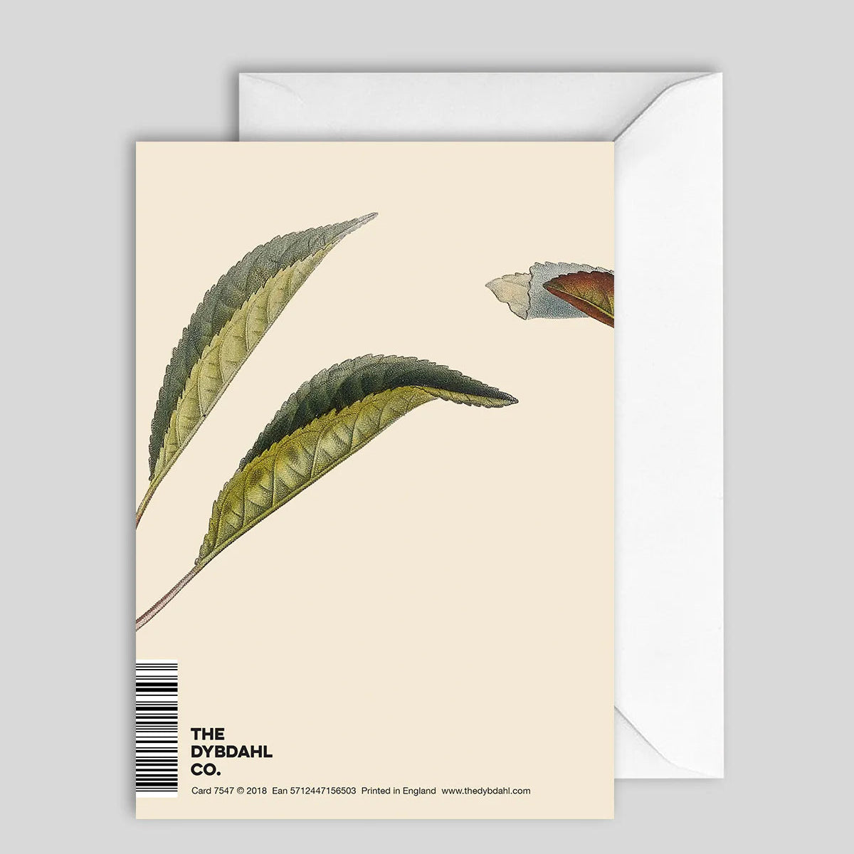 Greeting Card Cherry