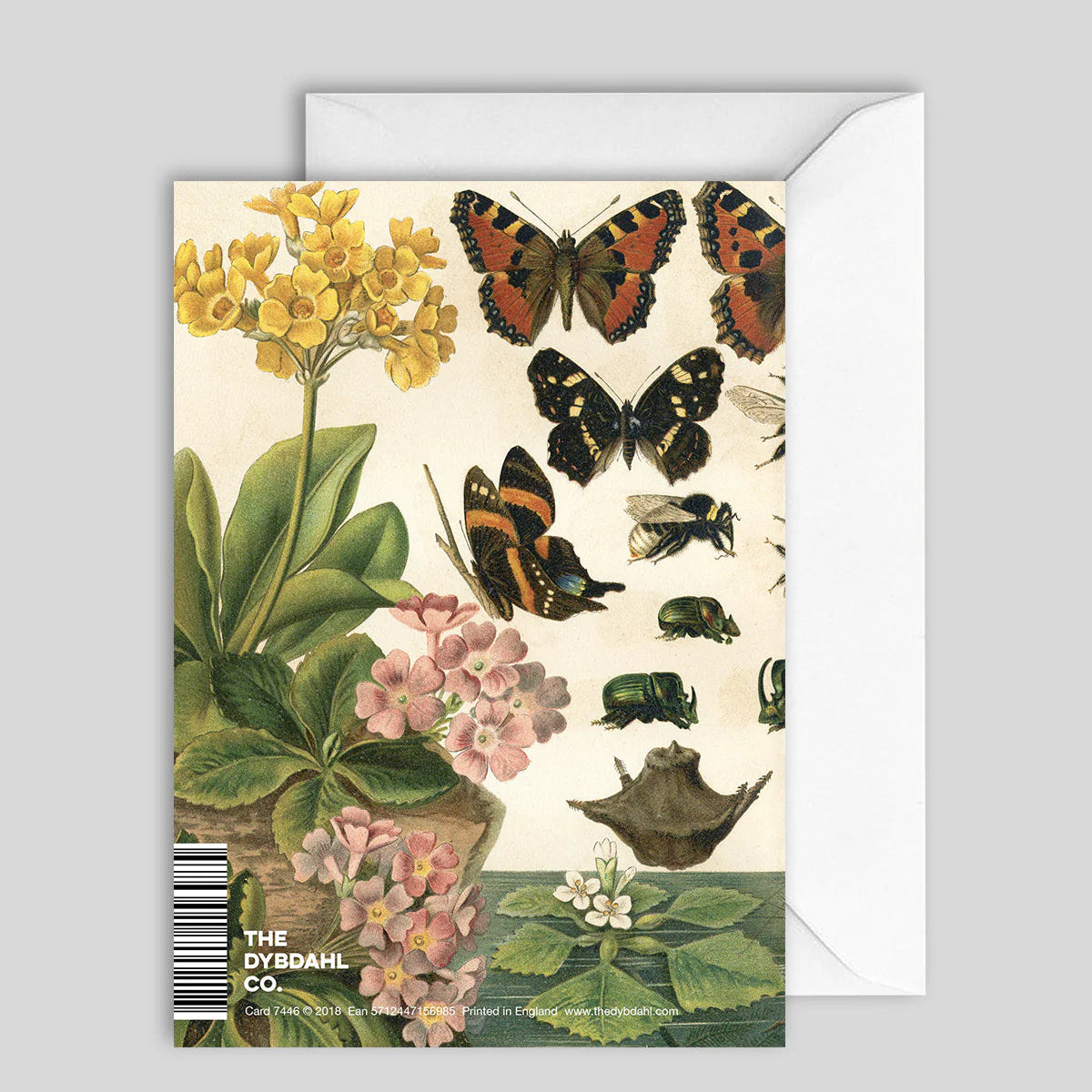 Greeting Card Darwinism