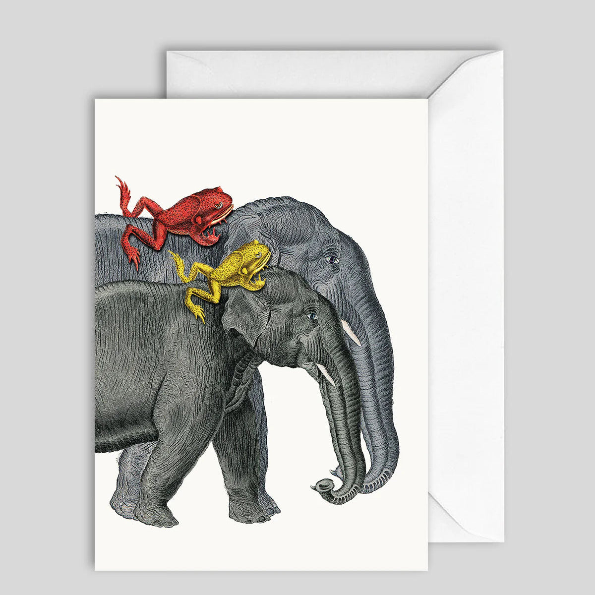 Greeting Card Elephant & Frog