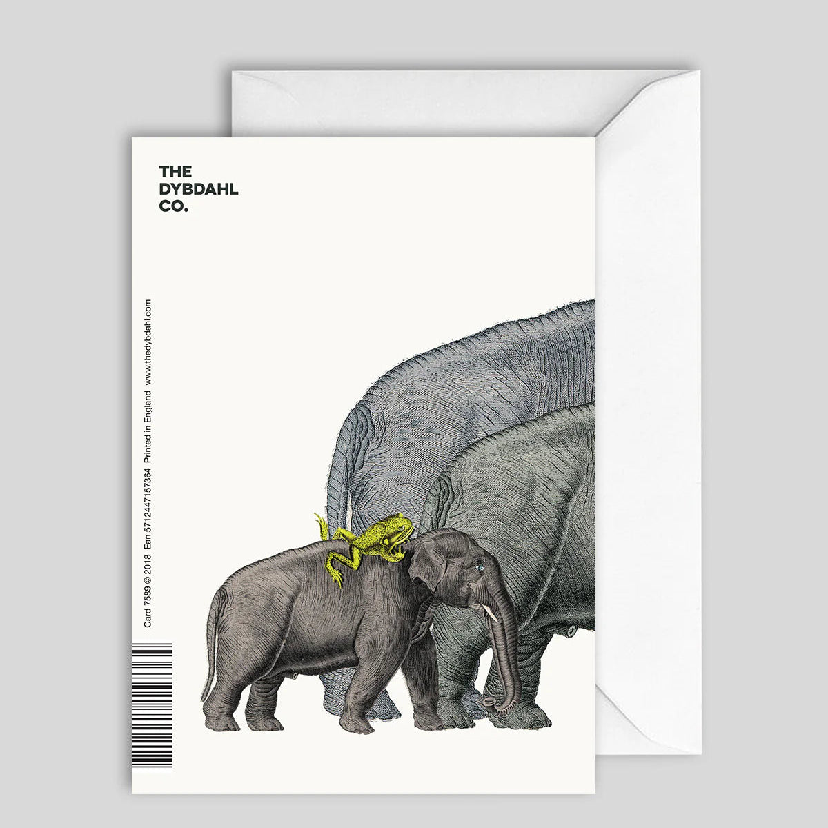 Greeting Card Elephant & Frog