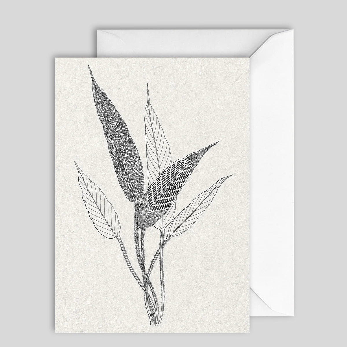Greeting Card Fern