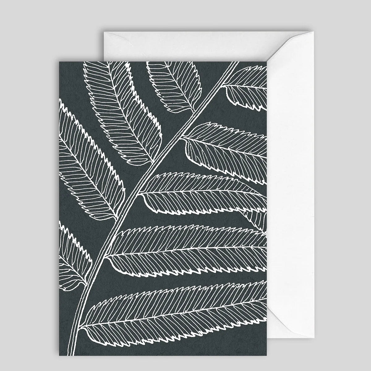Greeting Card Fern 2