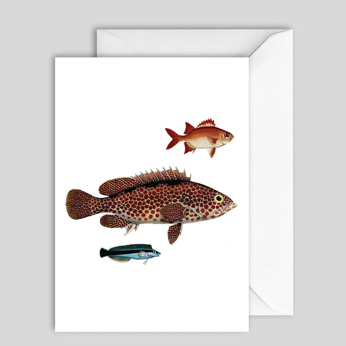 Greeting Card Fish