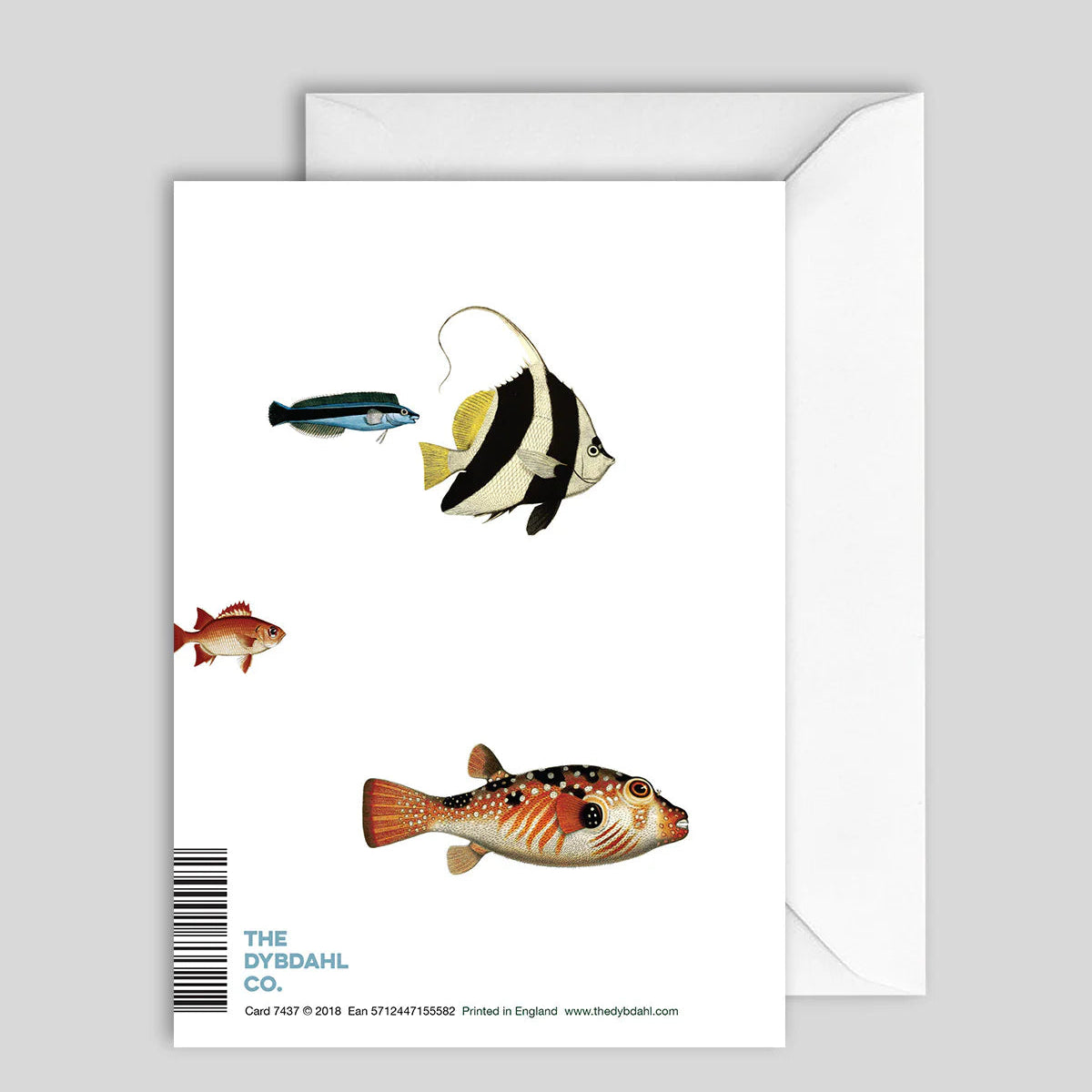 Greeting Card Fish