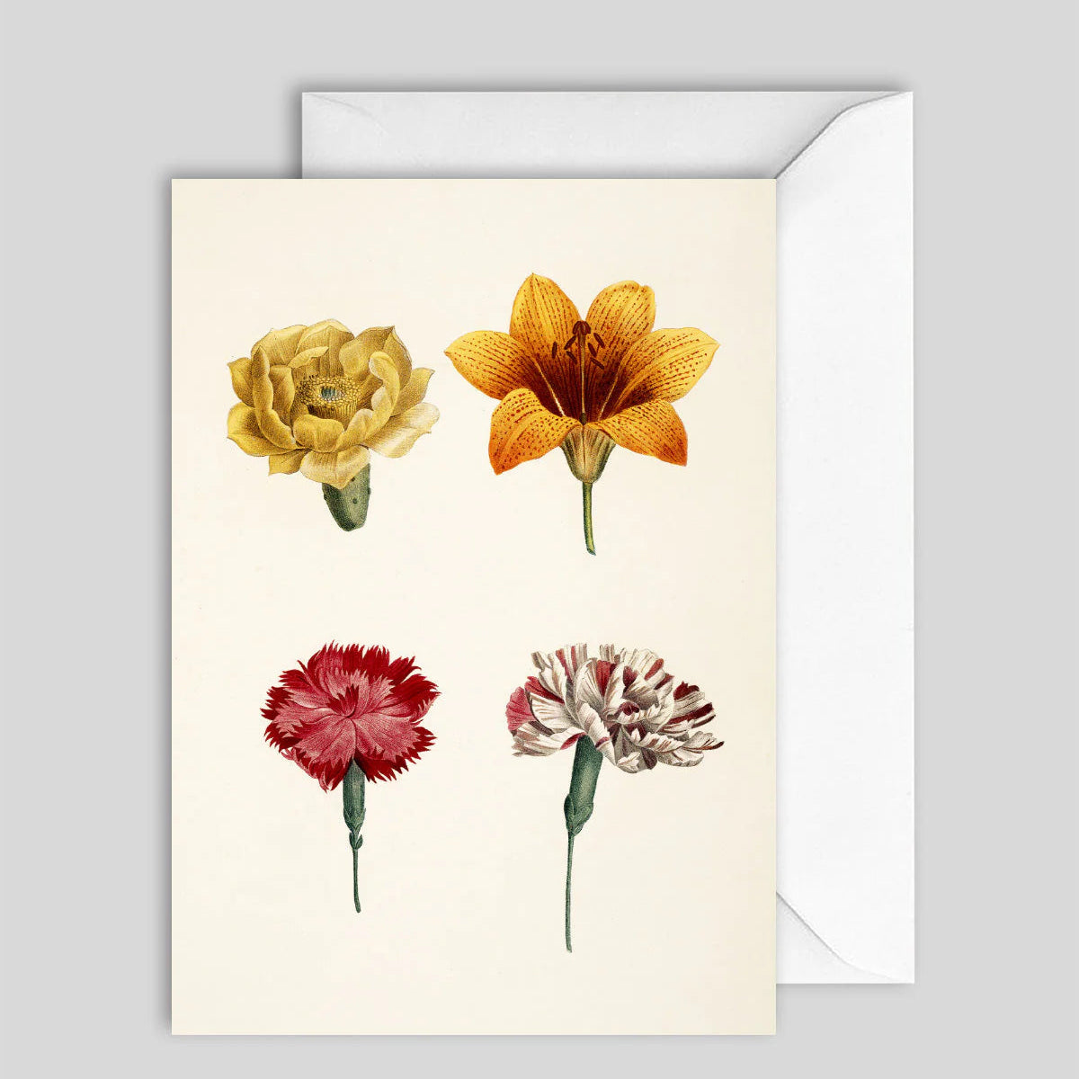 Greeting Card Flowers