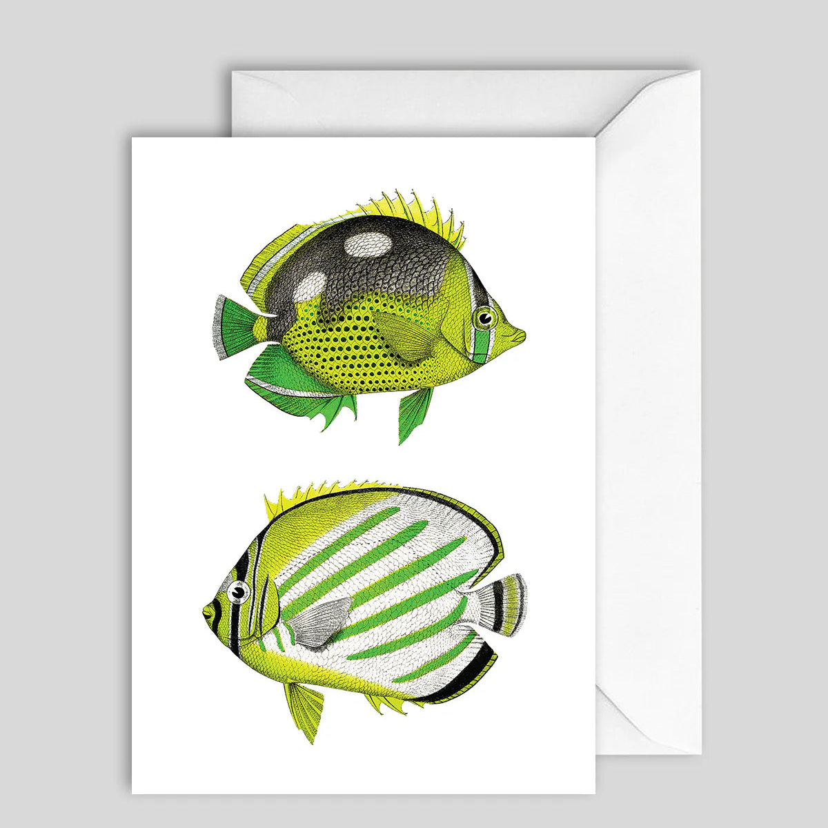 Greeting Card Green Fish