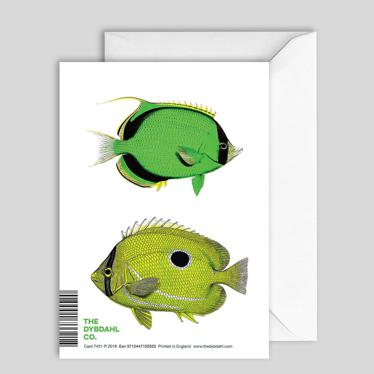 Greeting Card Green Fish