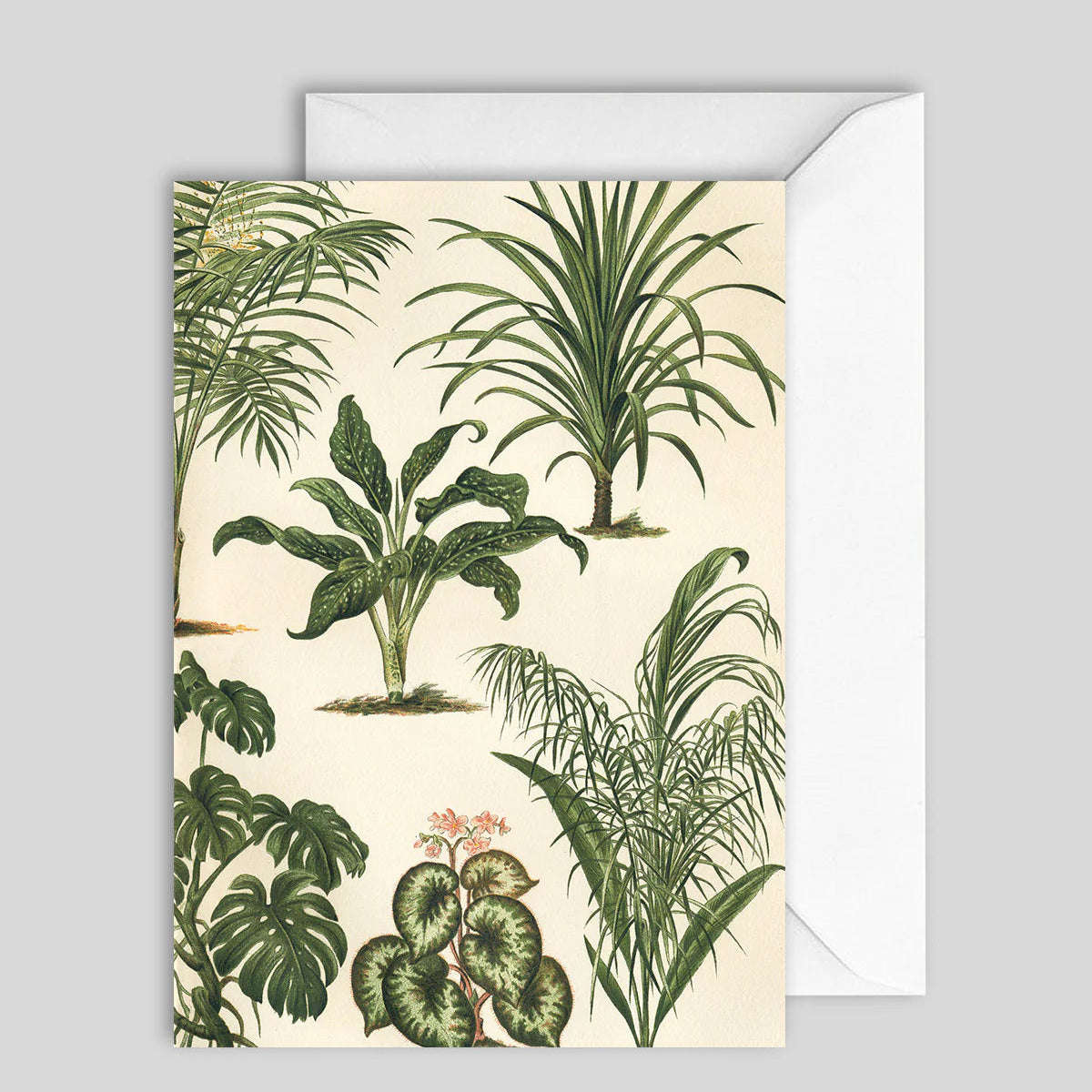 Greeting Card Green Leaf Plants