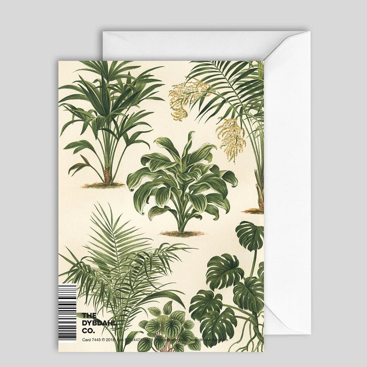Greeting Card Green Leaf Plants