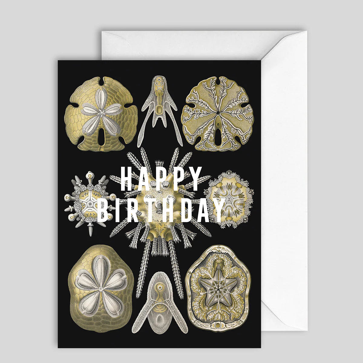 Greeting Card Happy Birthday