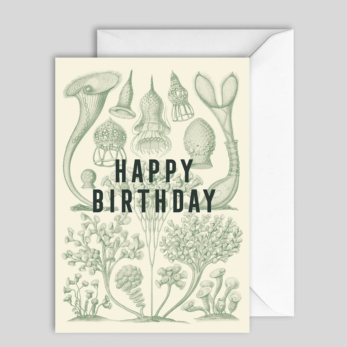 Greeting Card Happy Birthday 2