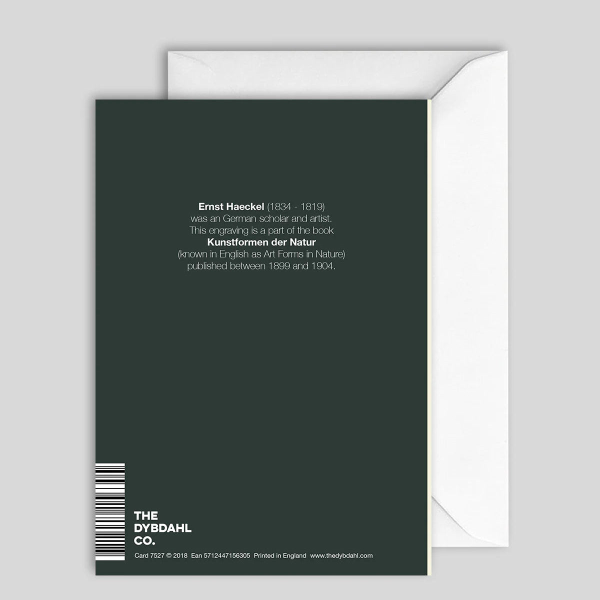 Greeting Card Happy Birthday 2