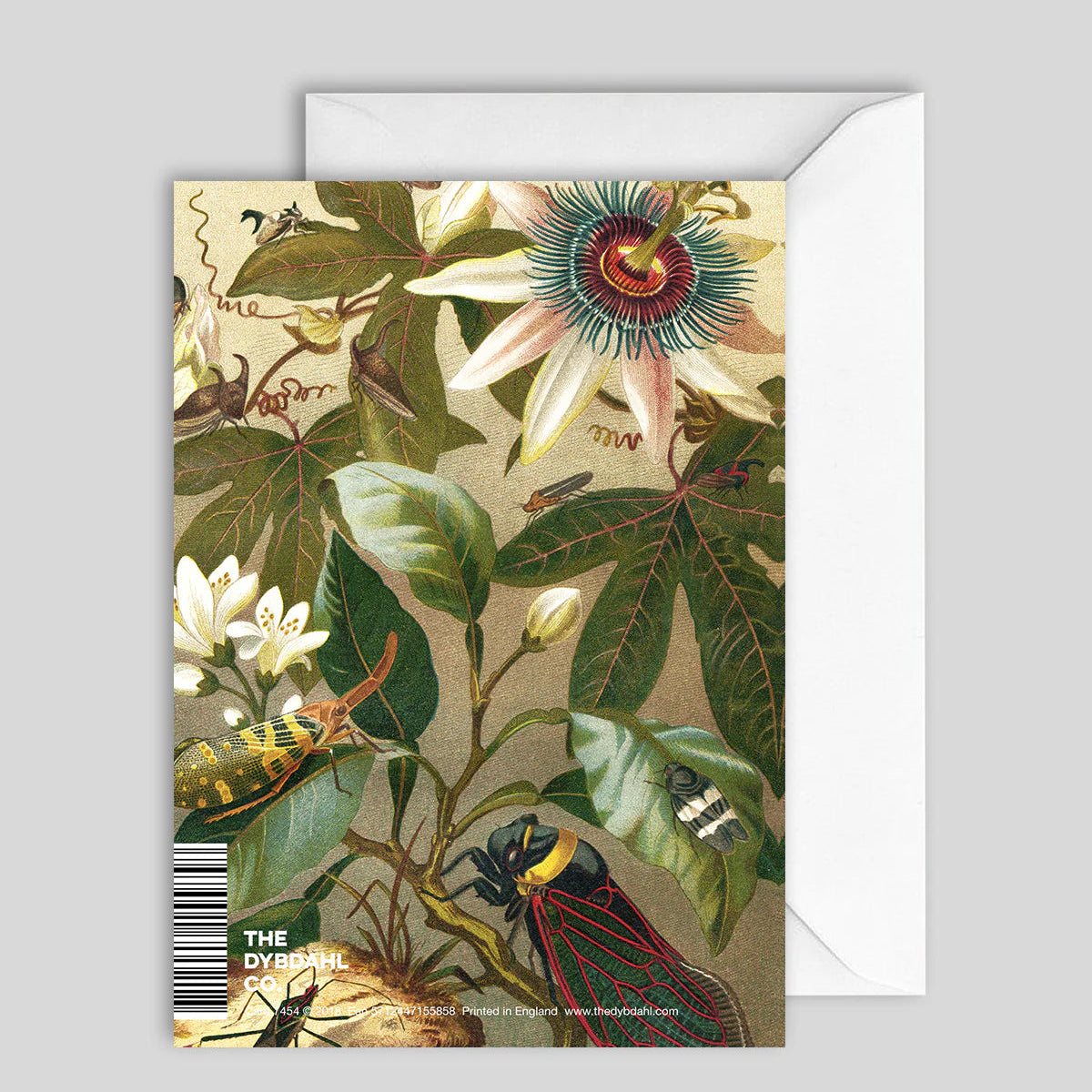 Greeting Card Insects