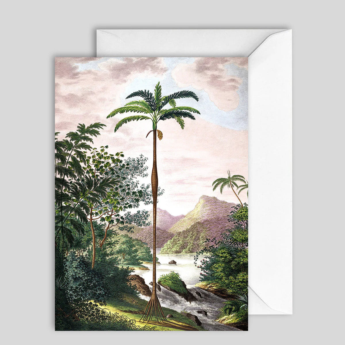 Greeting Card Jungle