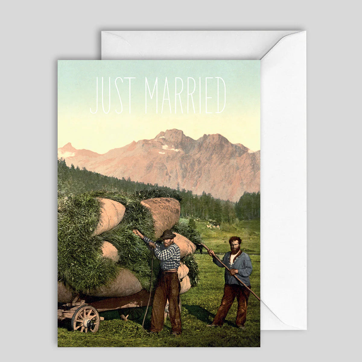 Greeting Card Just (Gay) Married