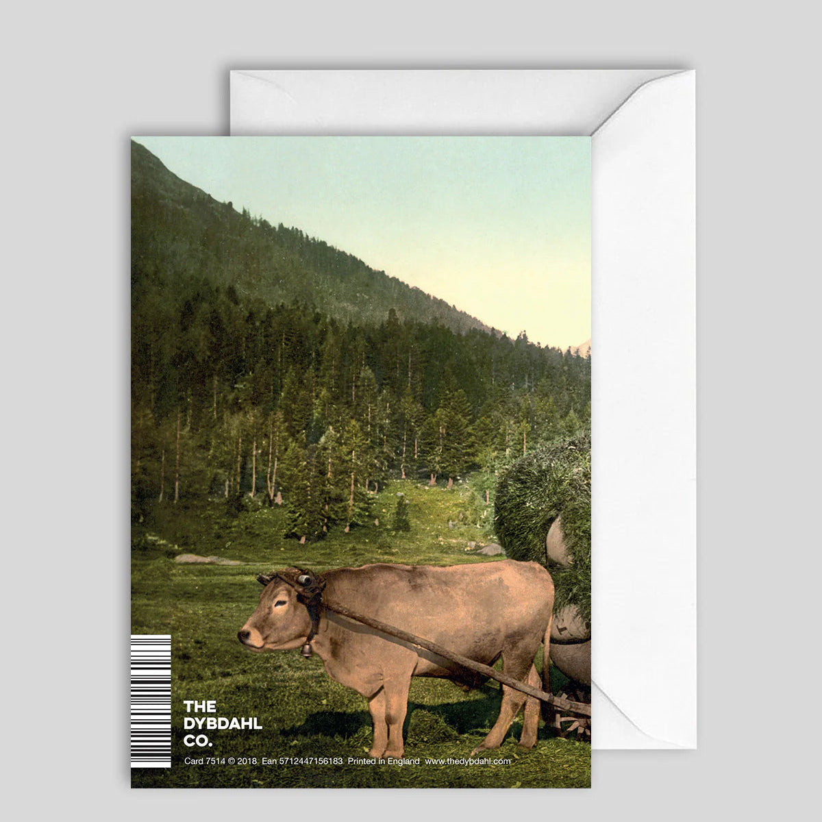 Greeting Card Just (Gay) Married