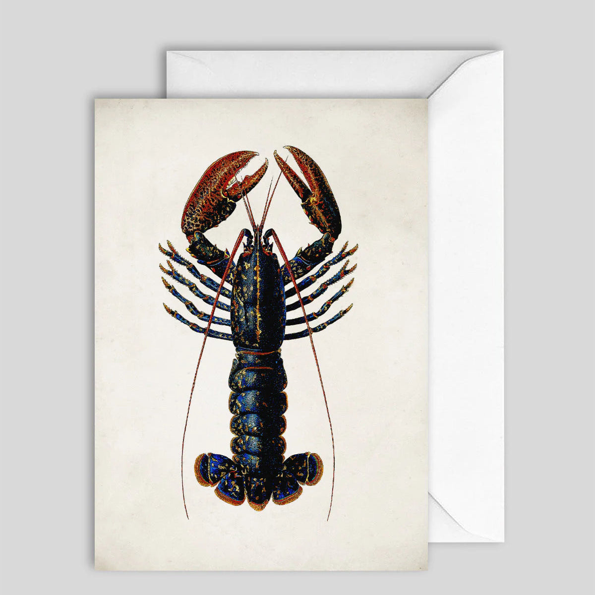 Greeting Card Lobster