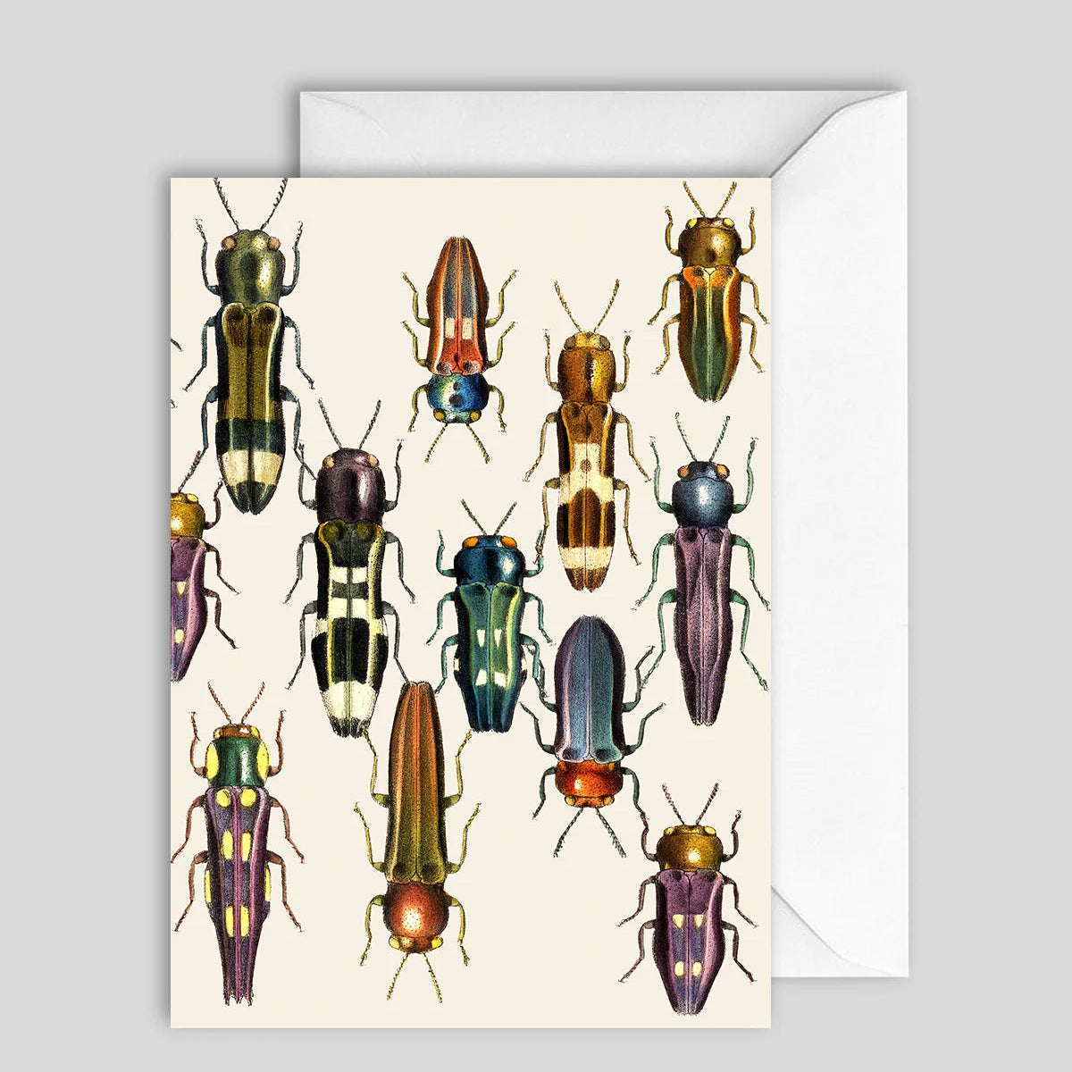 Greeting Card Long Beatles