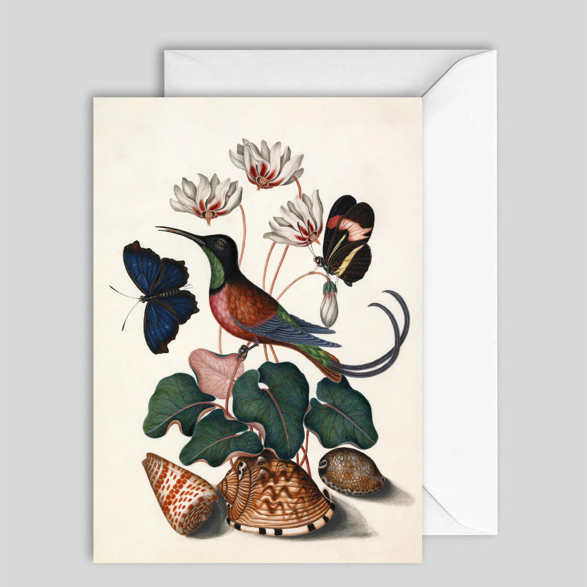 Greeting Card Nightingale